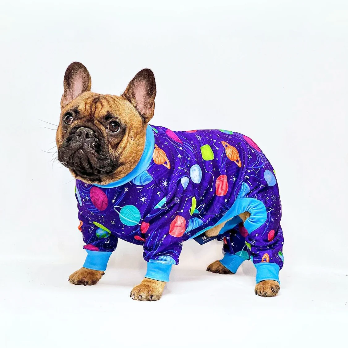 Dog Pajama Prints - Image 13