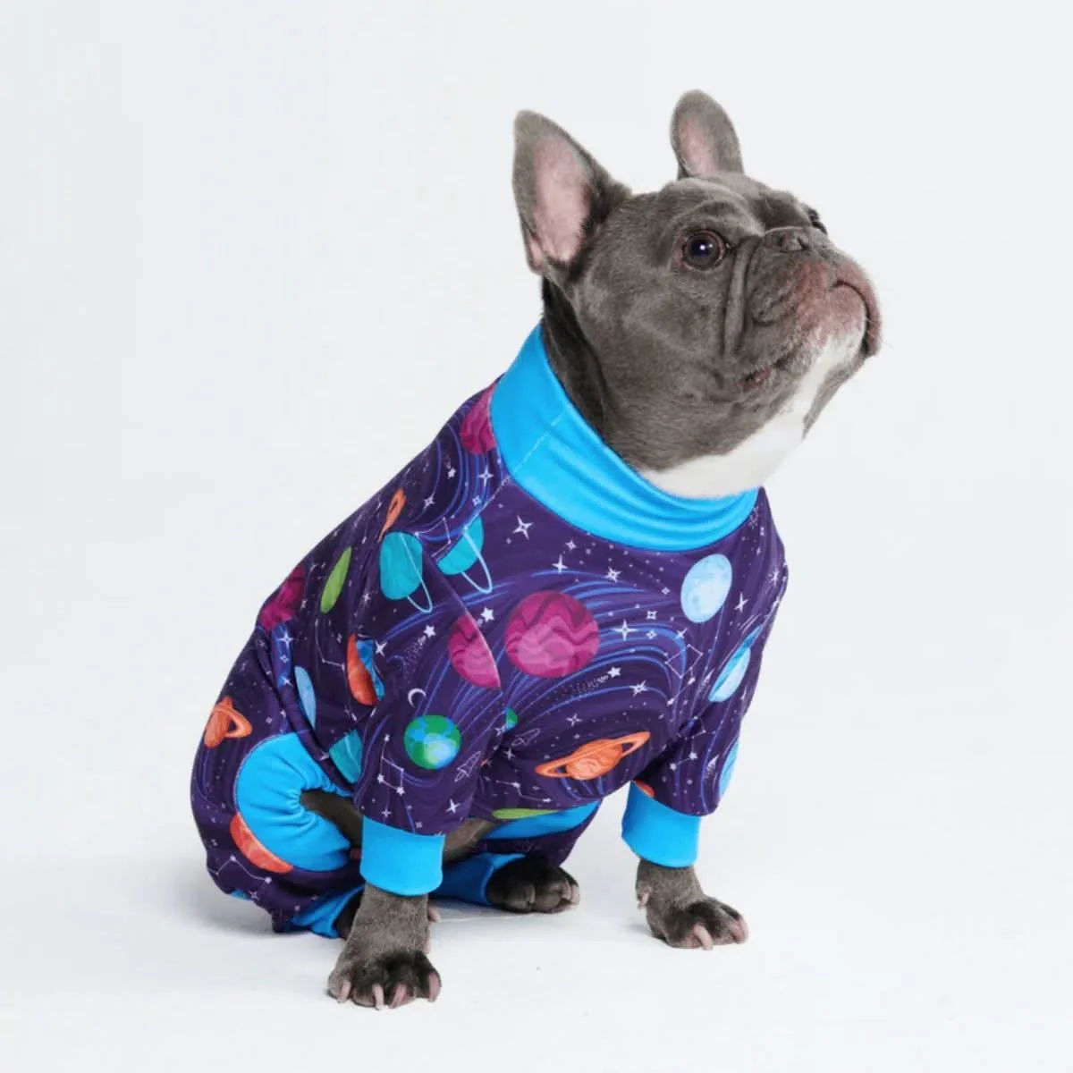 Dog Pajama Prints - Image 16