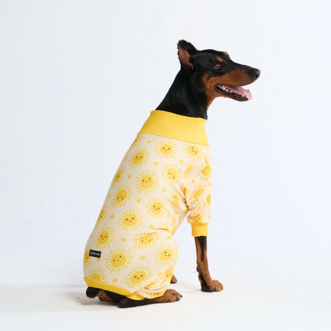 Dog Pajama Prints - Image 31