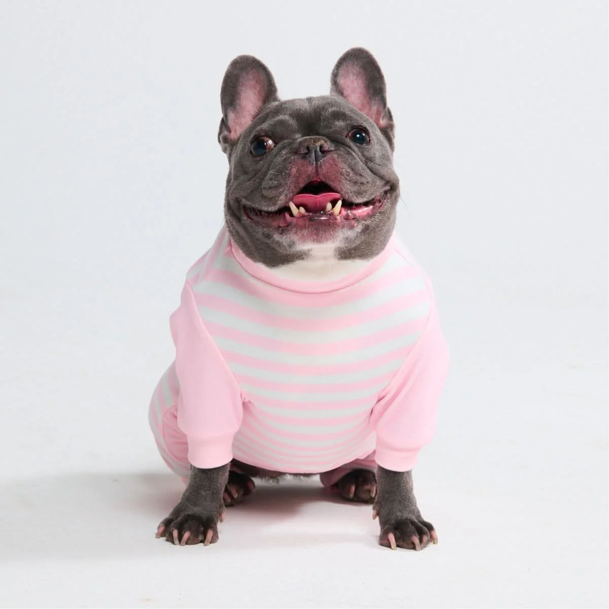 Dog Pajama Prints - Image 56