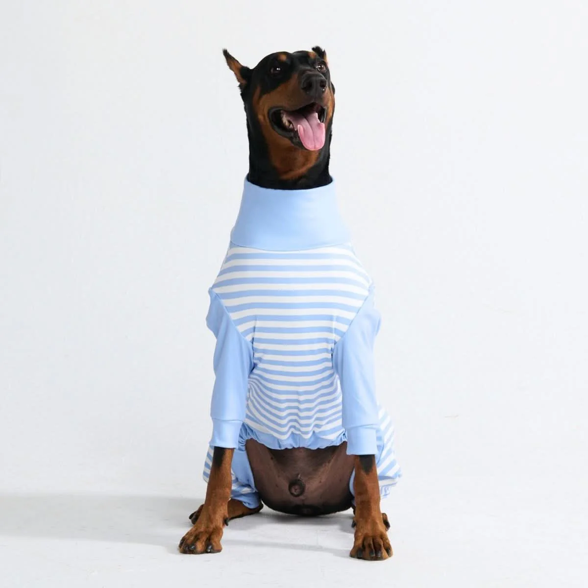 Dog Pajama Prints - Image 59