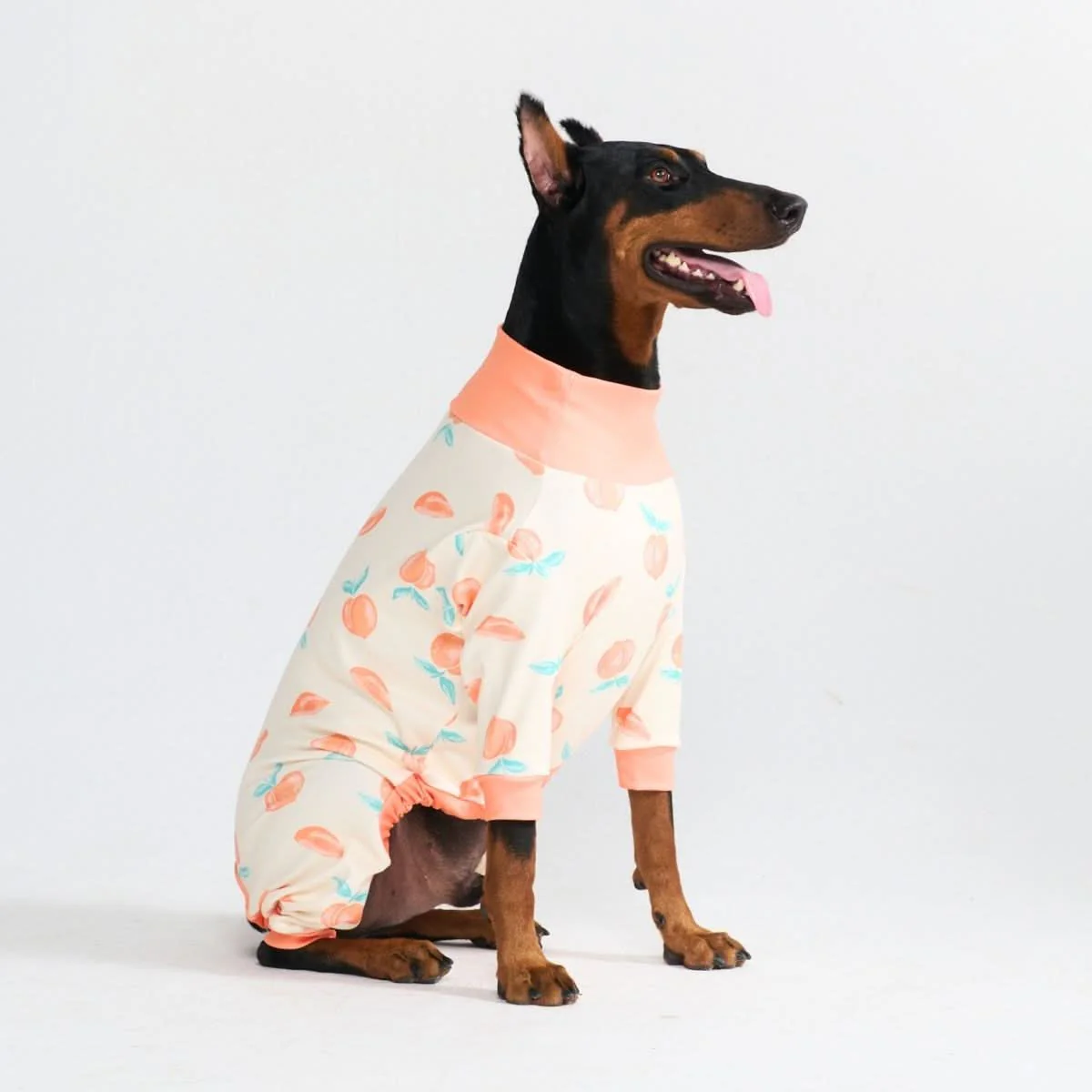 Dog Pajama Prints - Image 63
