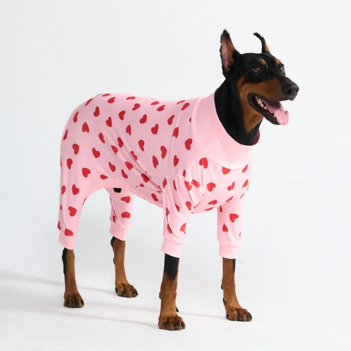 Dog Pajama Prints - Image 69