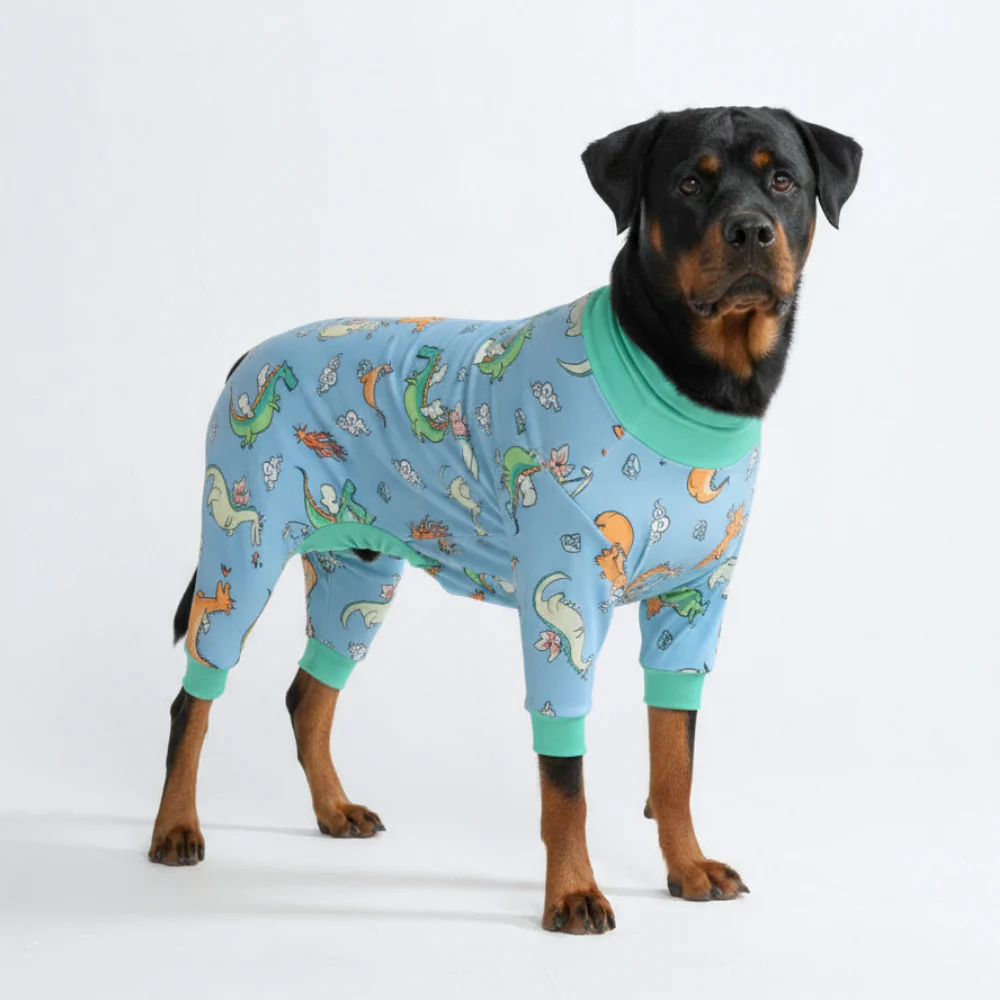 Dog Pajama - Dragons - Image 6