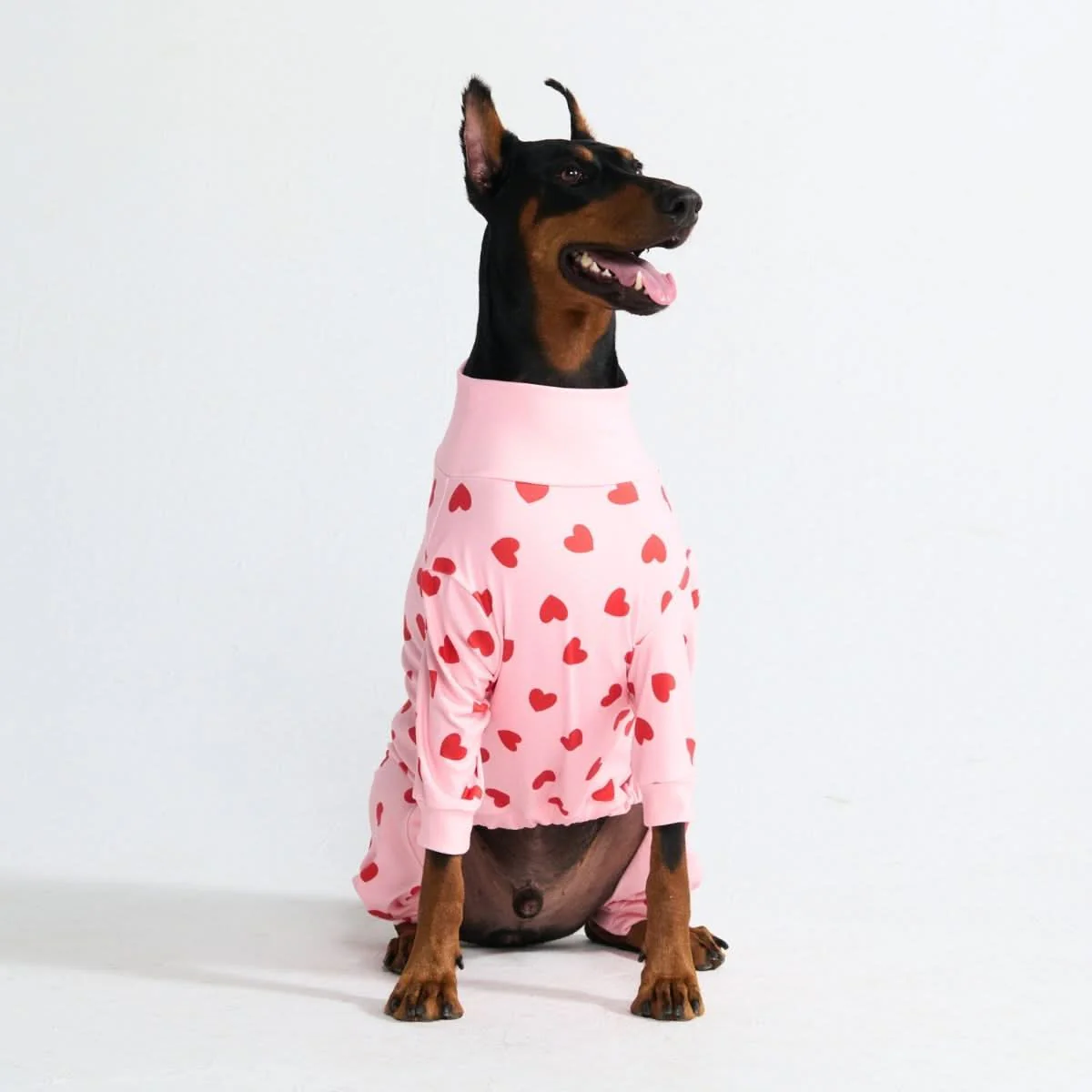 Dog Pajama - Pink Hearts - Image 5