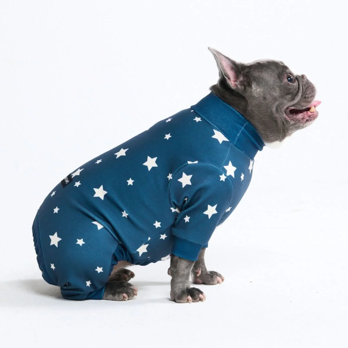 Dog Pajama Prints - Image 14