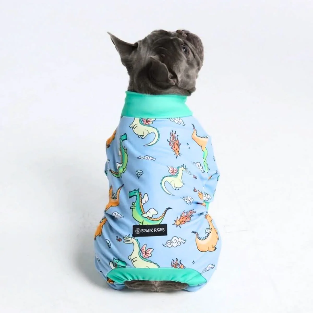 Dog Pajama Prints - Image 33
