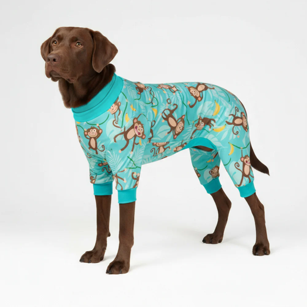 Dog Pajama Prints - Image 35