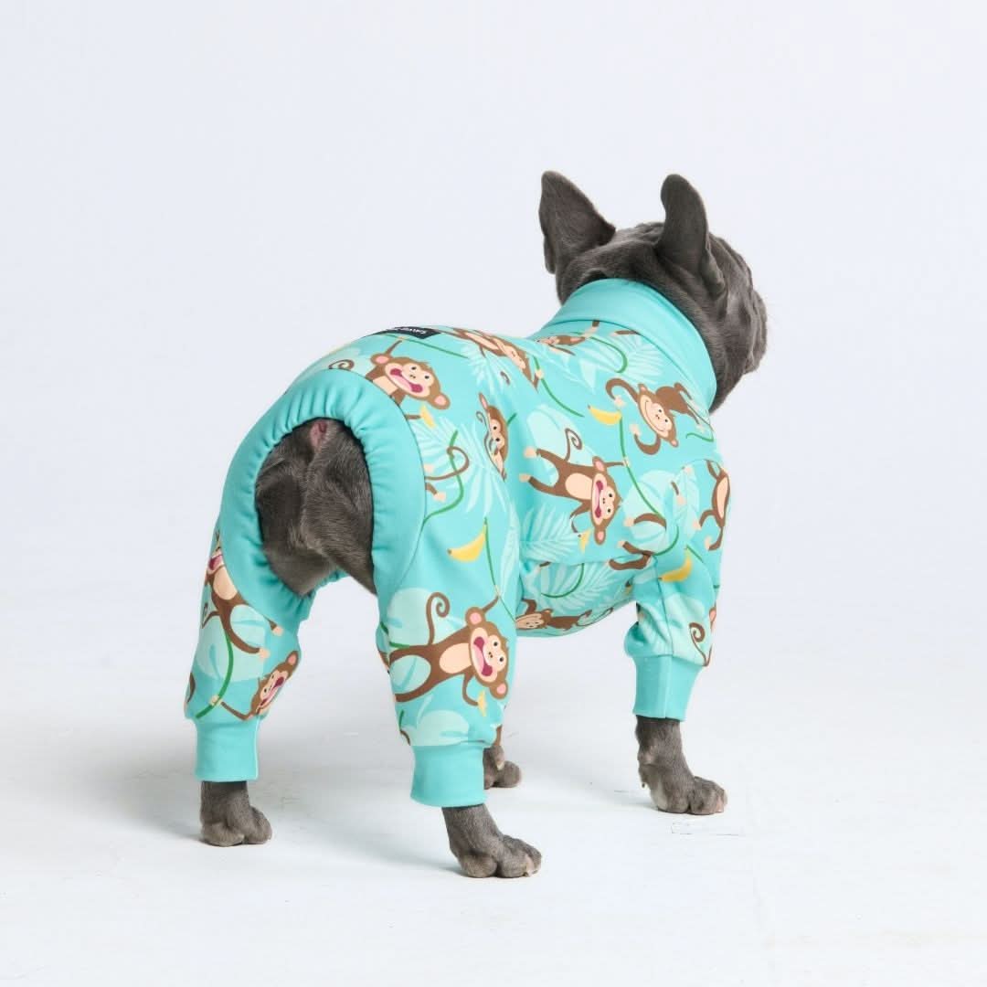 Dog Pajama Prints - Image 44