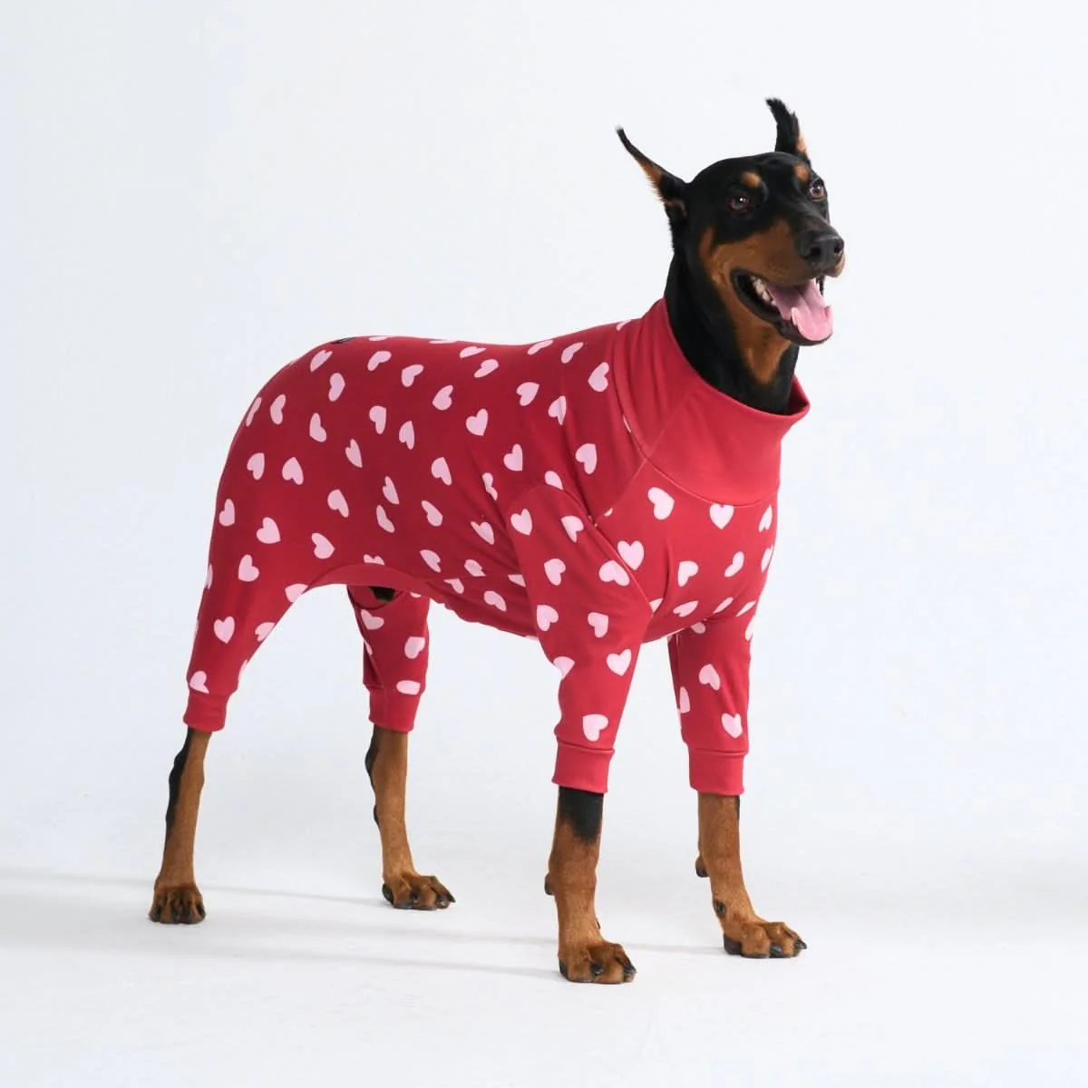 Dog Pajama - Red Hearts - Image 3