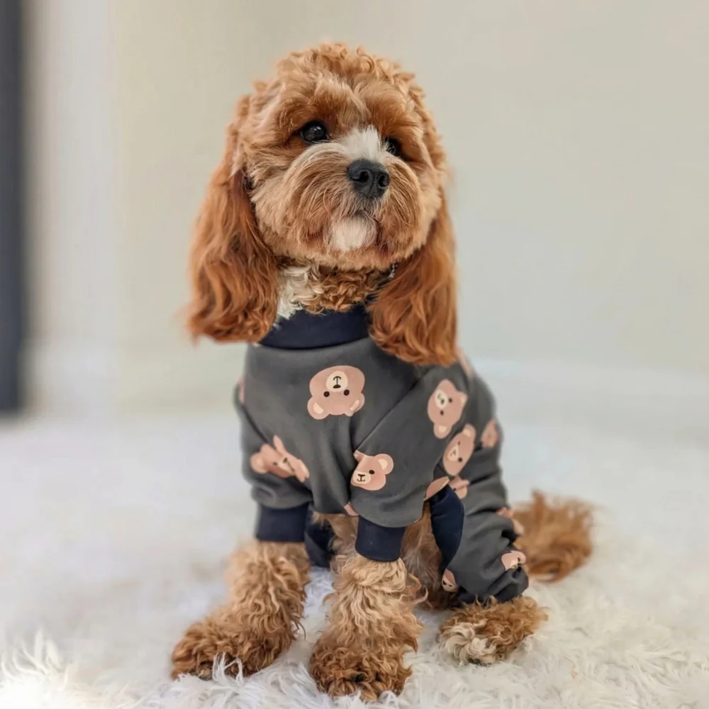 Dog Pajama - Bear Black - Image 12