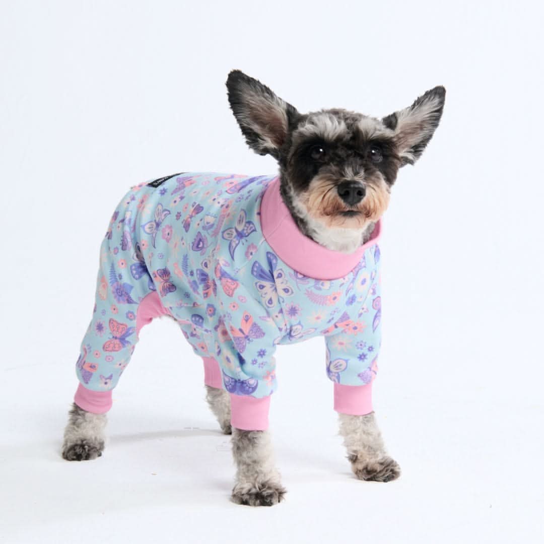 Dog Pajama Prints - Image 40