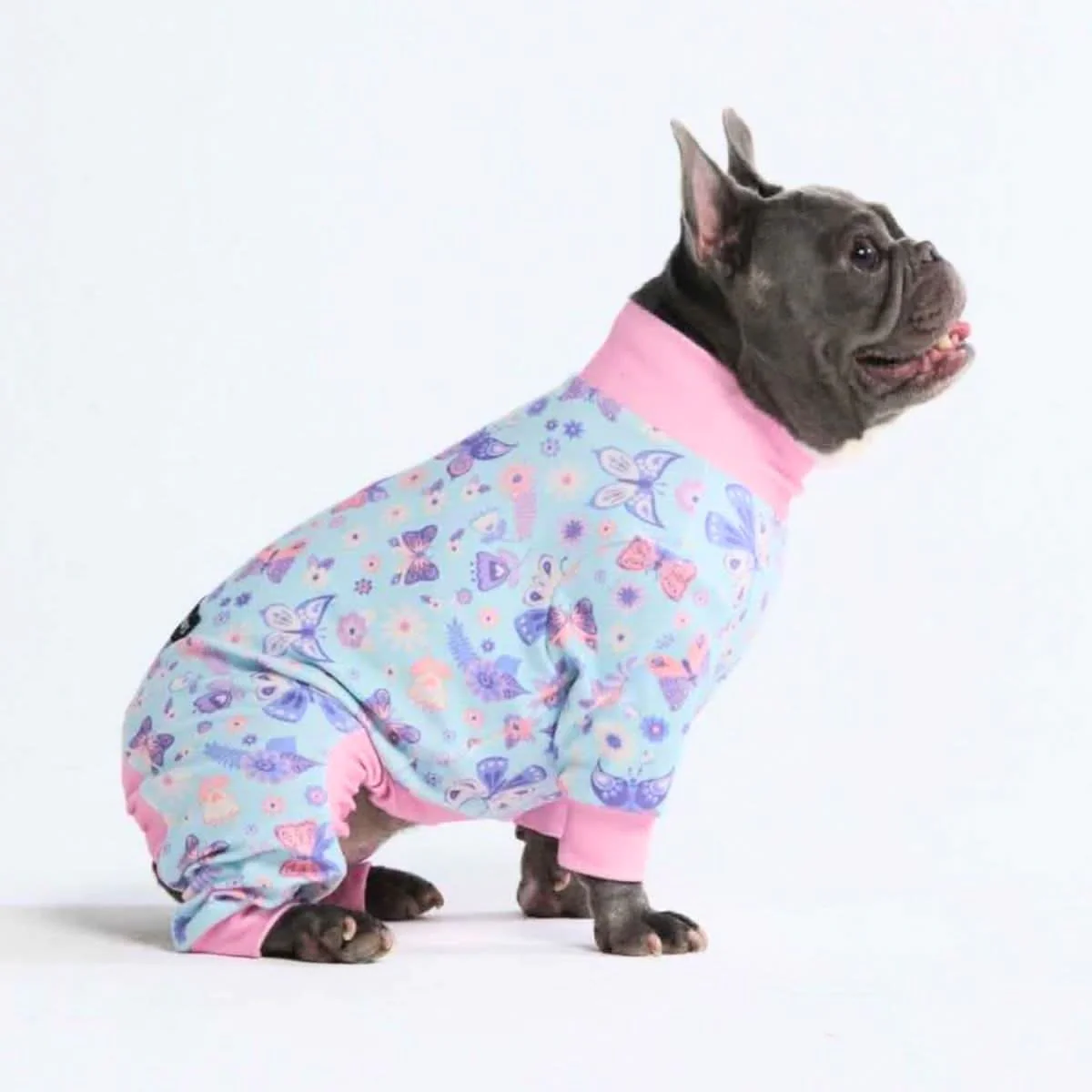 Dog Pajama Prints - Image 43