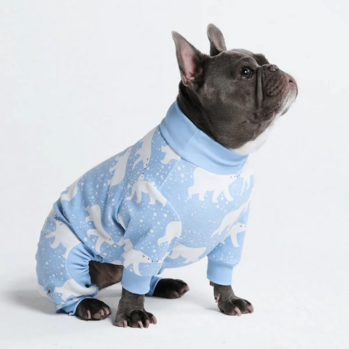 Dog Pajama Prints - Image 48