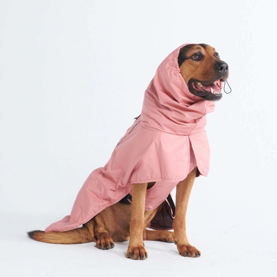 Breatheshield™ Dog Raincoats - Image 44