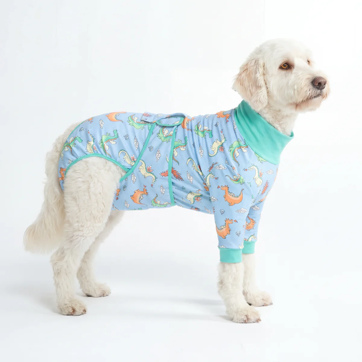 Dog Surgical Suit - Dragons - Image 4