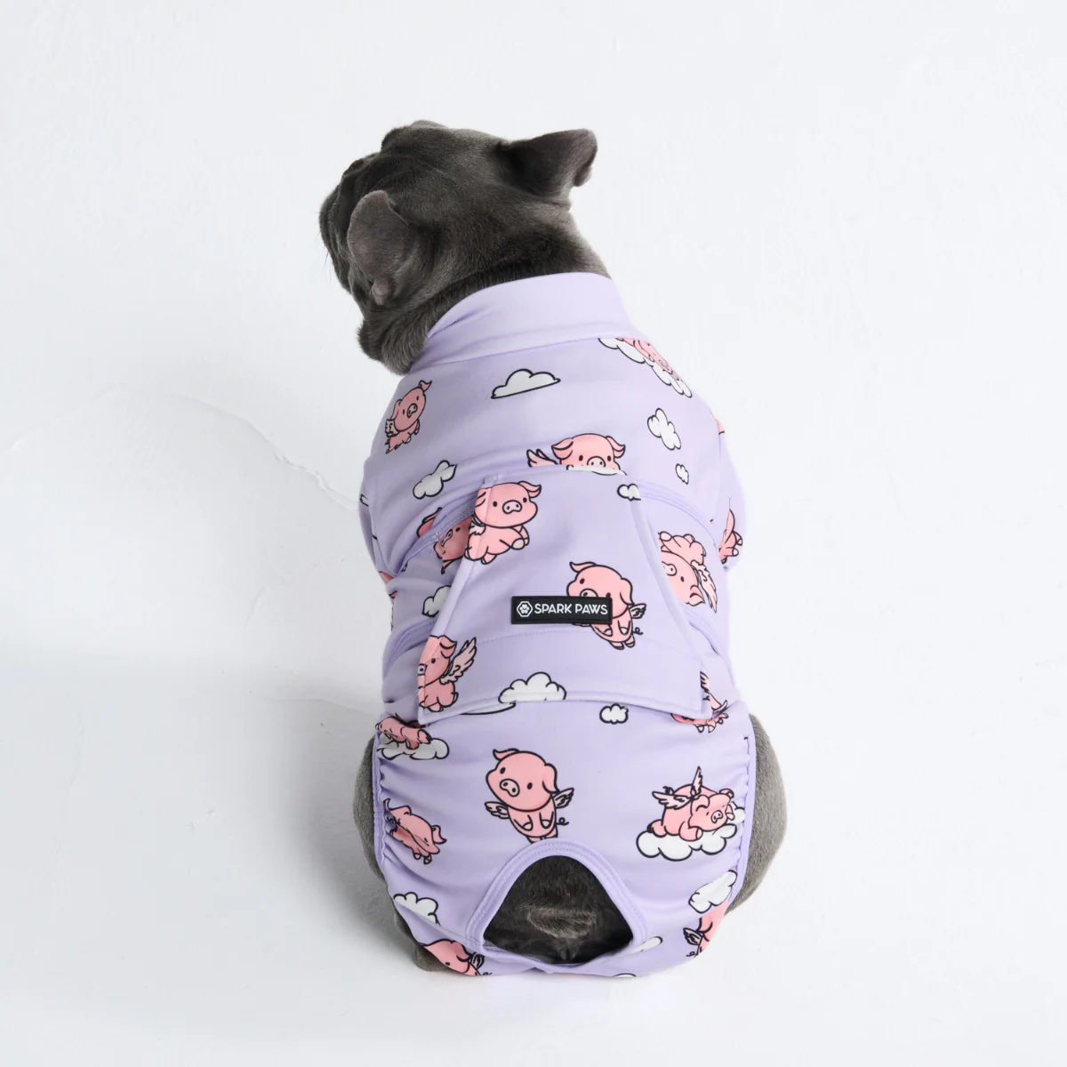 Dog Surgical Suit - When Pigs Fly - Image 12