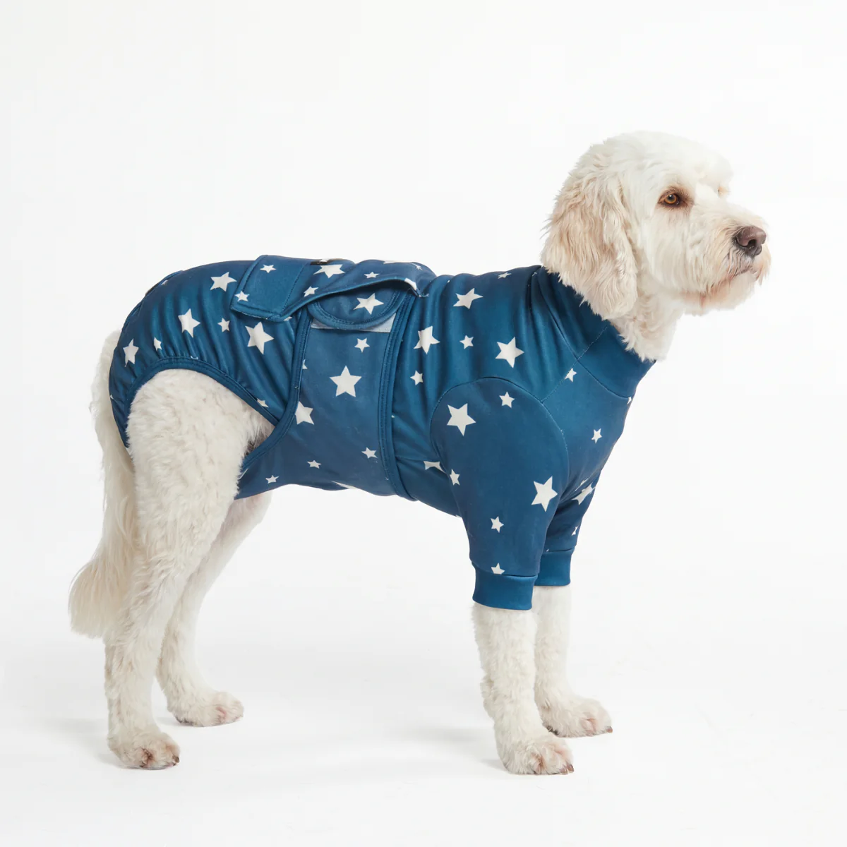 Dog Surgical Suit - Stars - Image 5