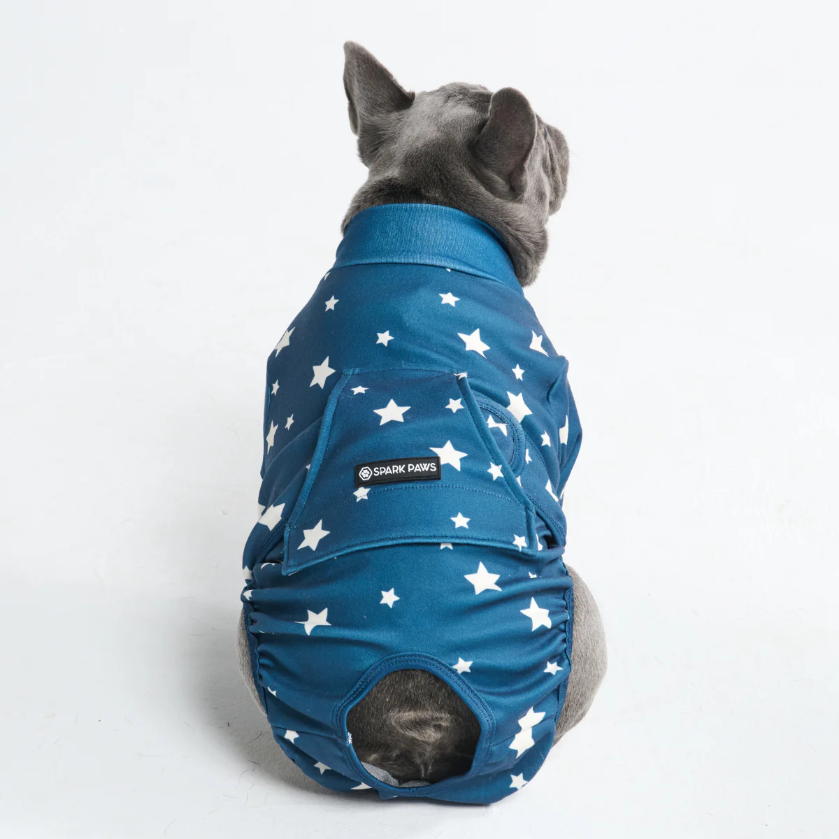 Dog Surgical Suit - Stars - Image 12