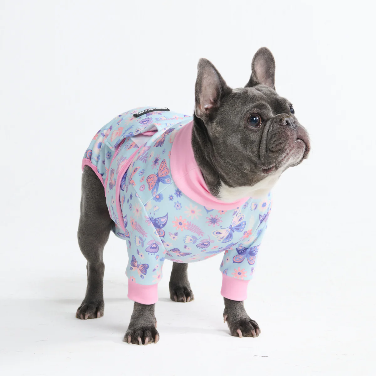 Dog Surgical Suit - Butterfly - Image 11