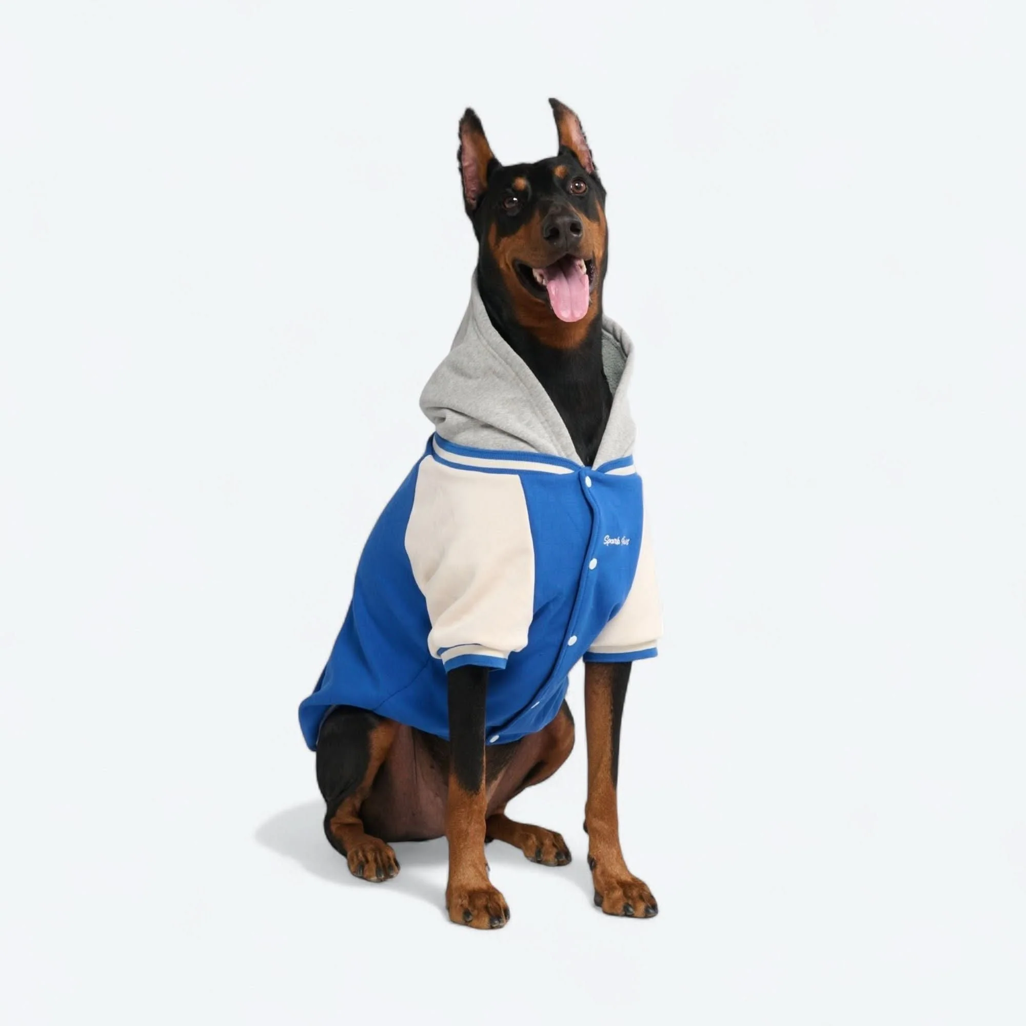 Dog Varsity Jacket - Blue - Image 4