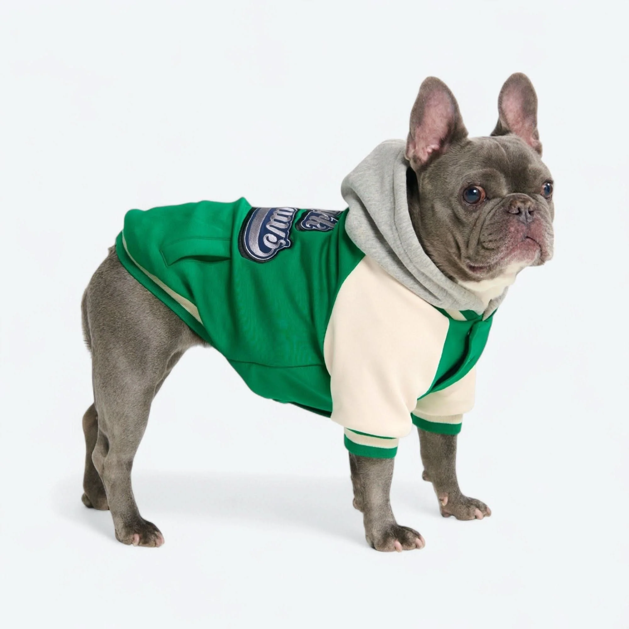 Dog Varsity Jacket - Green - Image 8