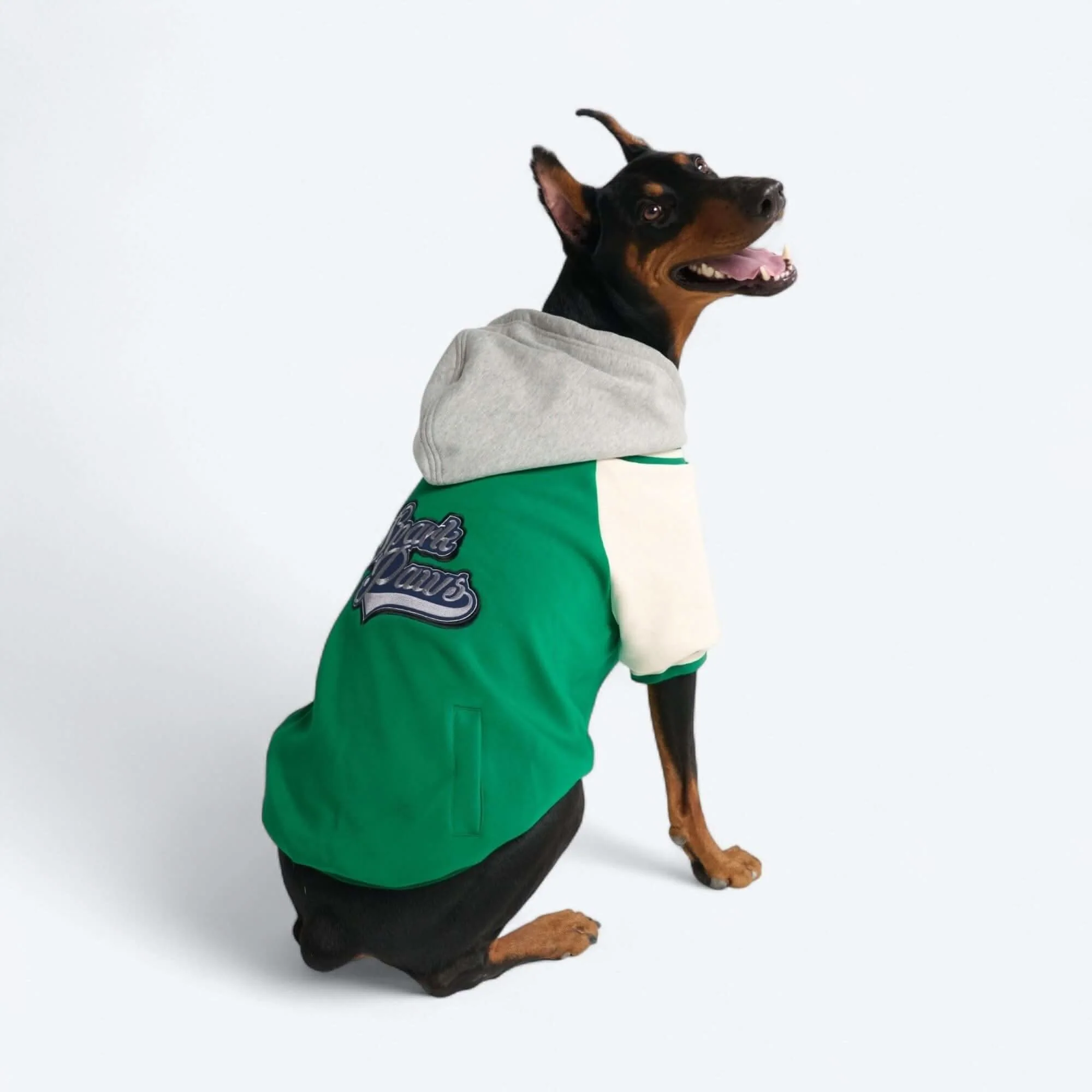Dog Varsity Jackets - Image 16
