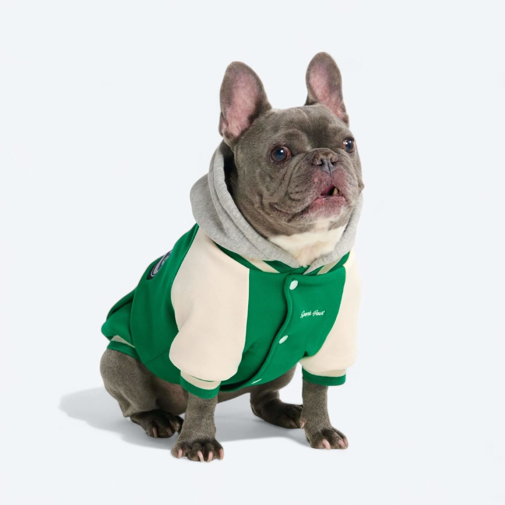 Dog Varsity Jackets - Image 23