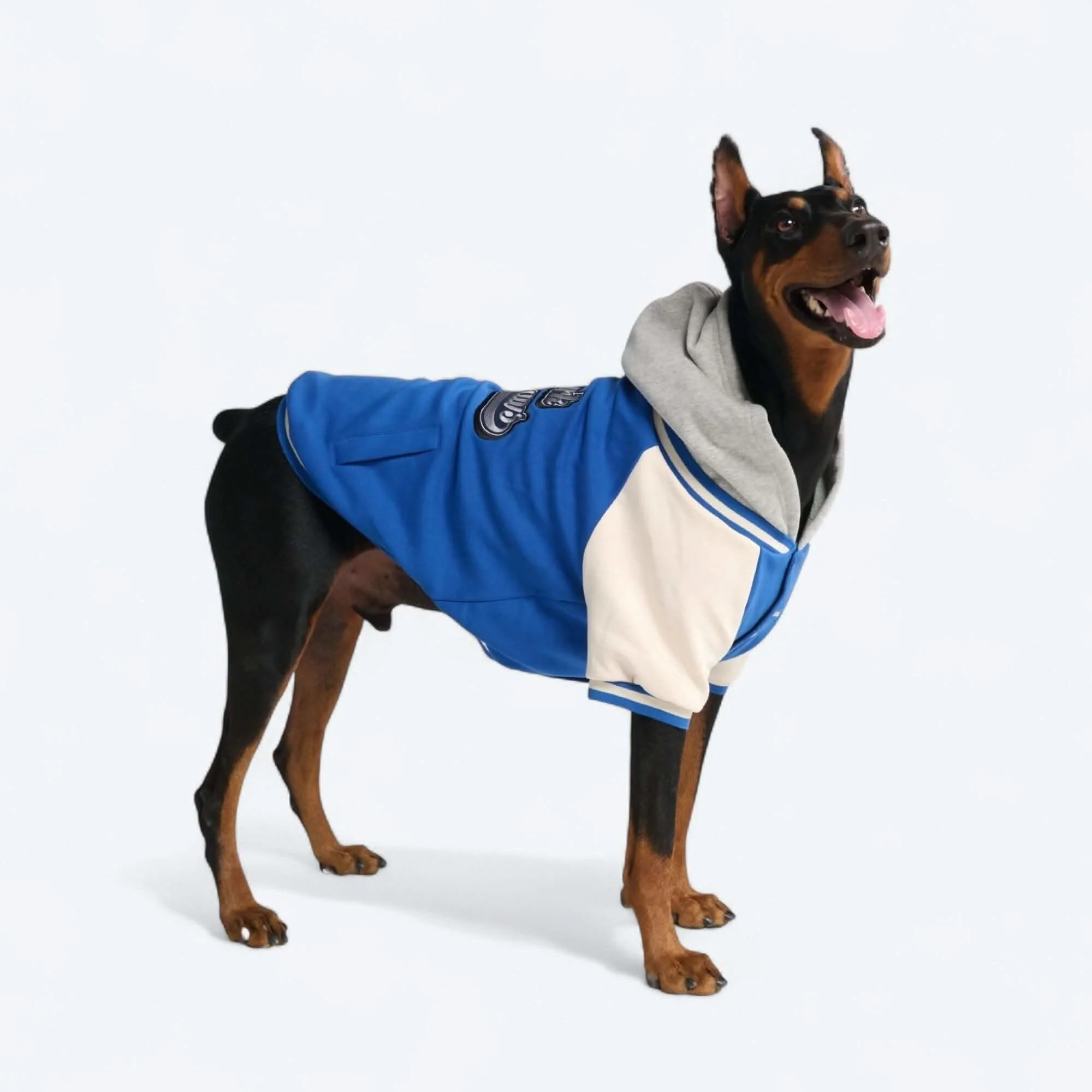 Dog Varsity Jackets - Image 24