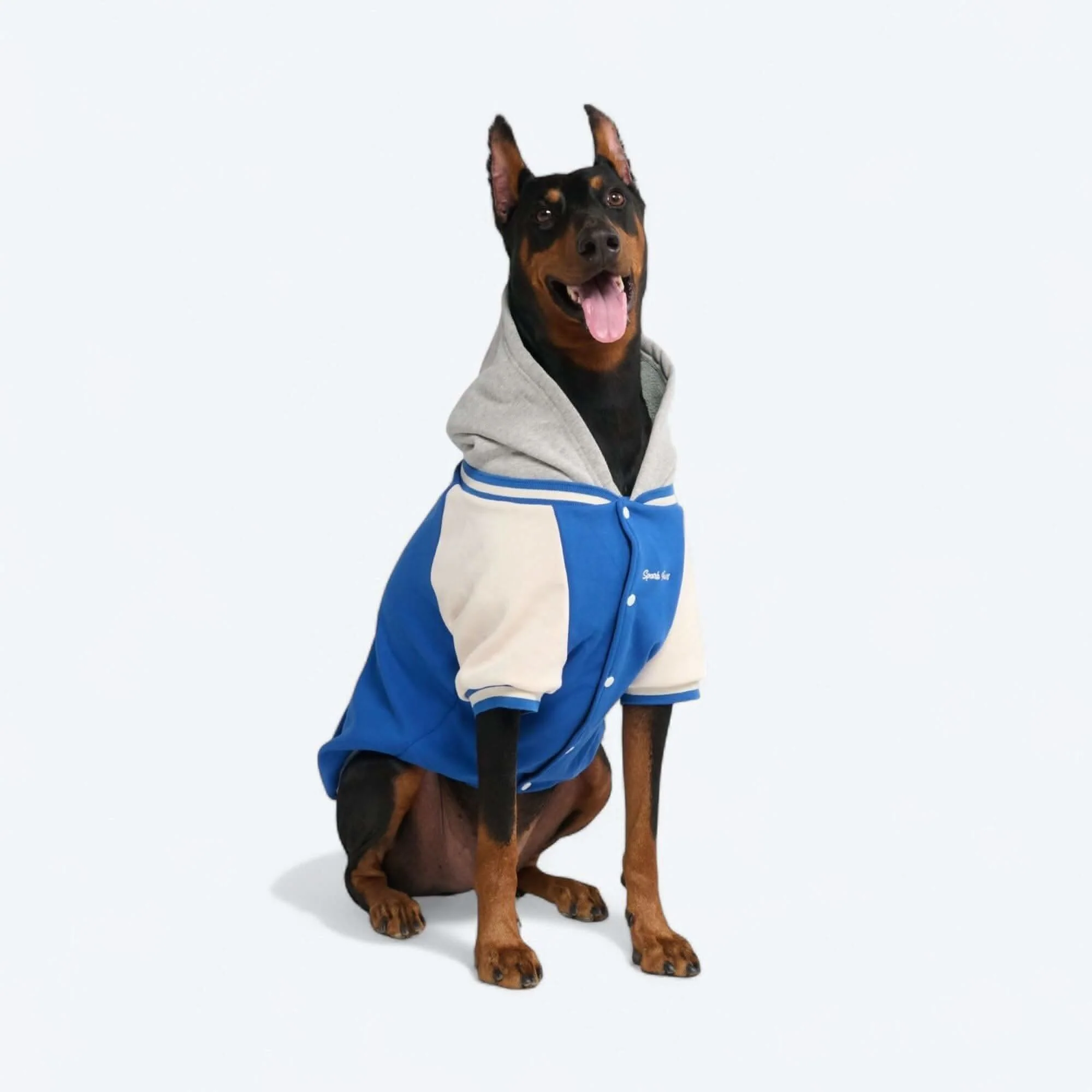 Dog Varsity Jackets - Image 27