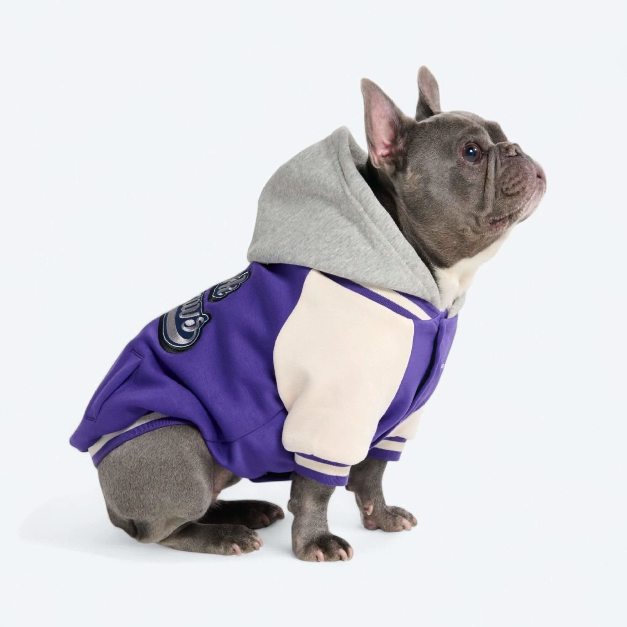 Dog Varsity Jackets - Image 9