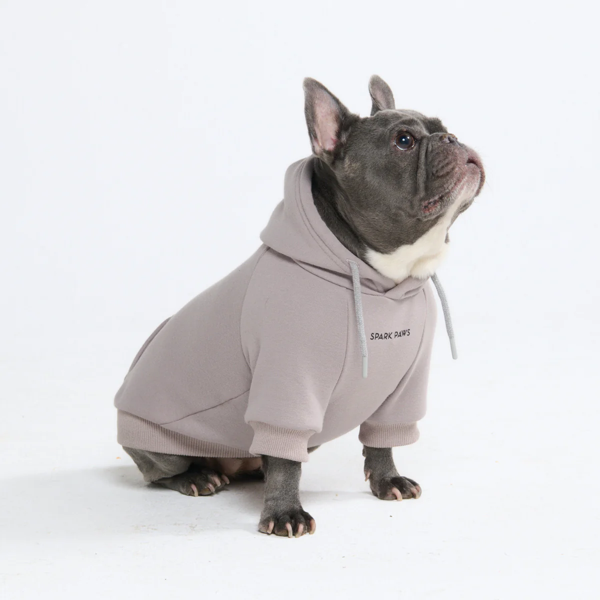 Essential Dog Hoodies - Image 102