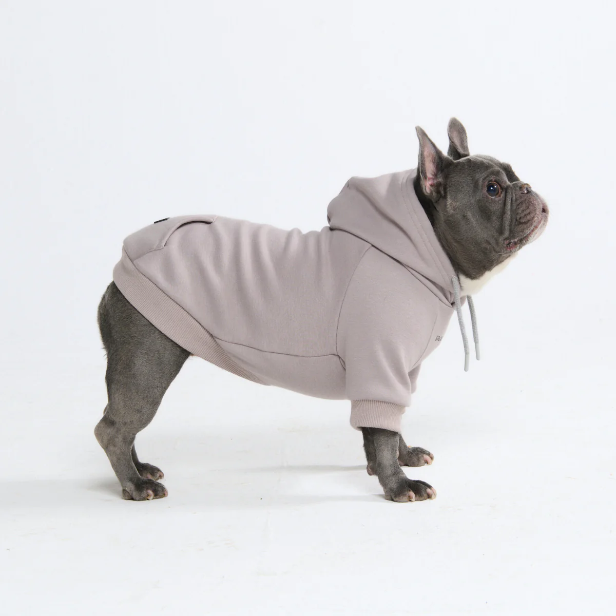 Essential Dog Hoodies - Image 111