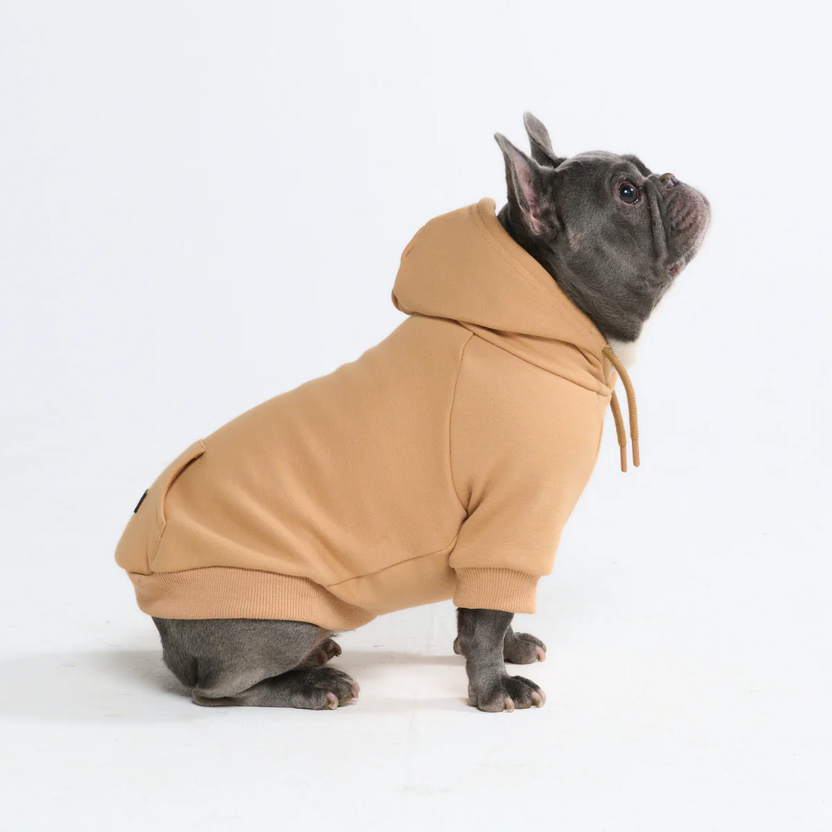 Essential Dog Hoodies - Image 117