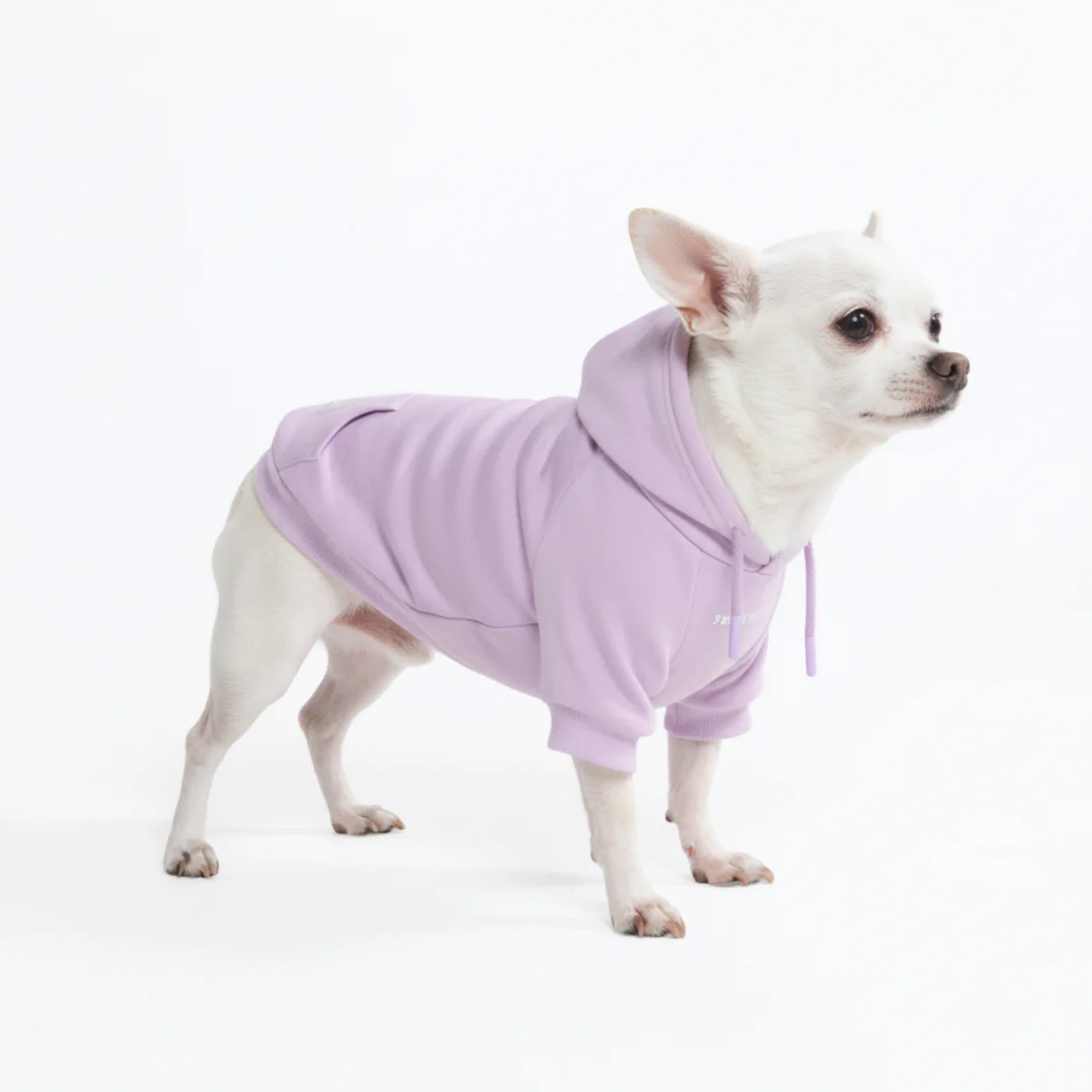 Essential Dog Hoodies - Image 14