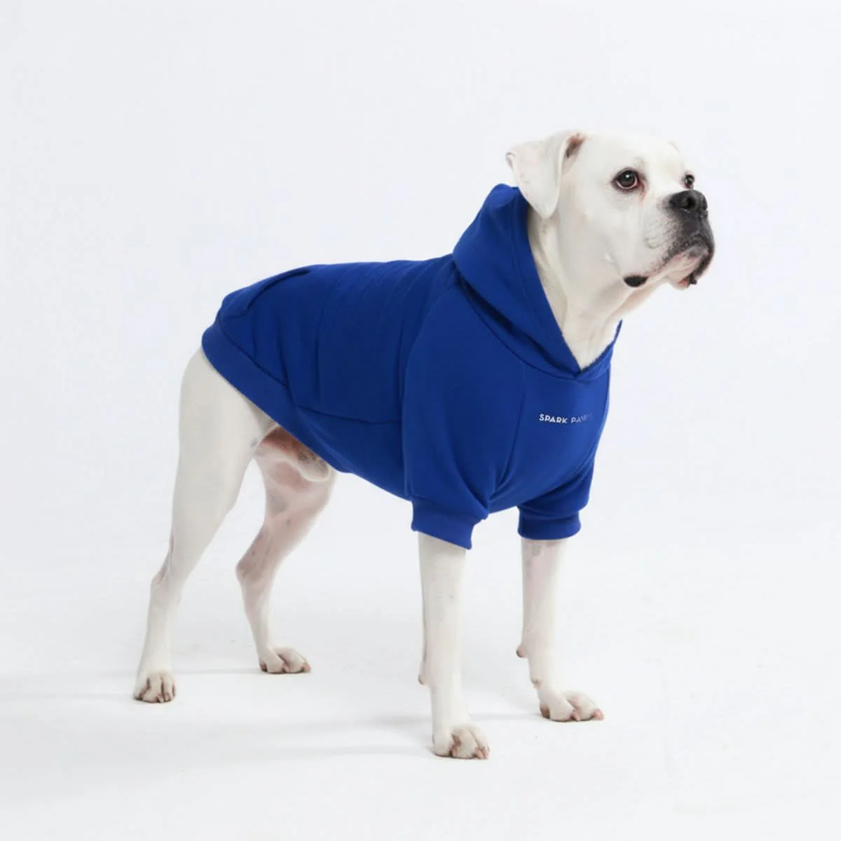 Essential Dog Hoodies - Image 26