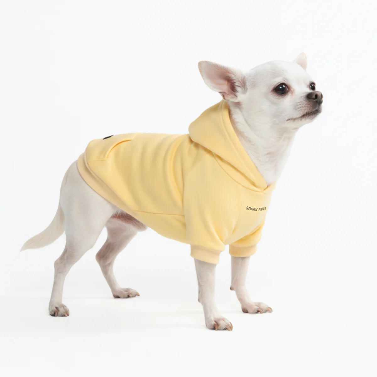 Essential Dog Hoodie - Buttercream - Image 3