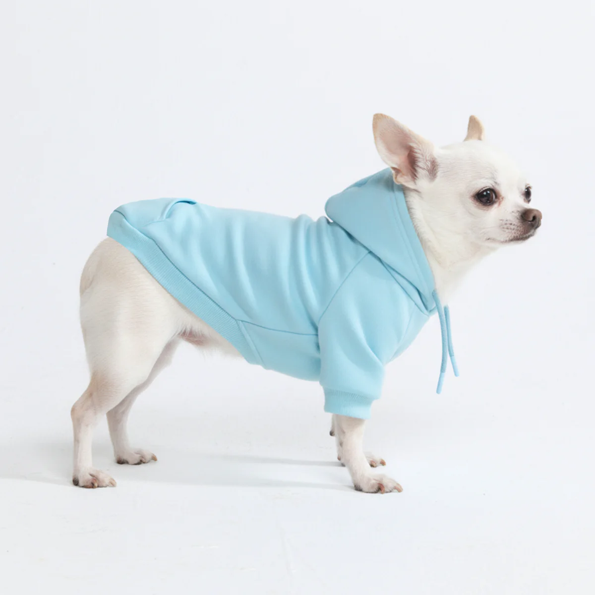 Essential Dog Hoodie - Baby Blue - Image 3