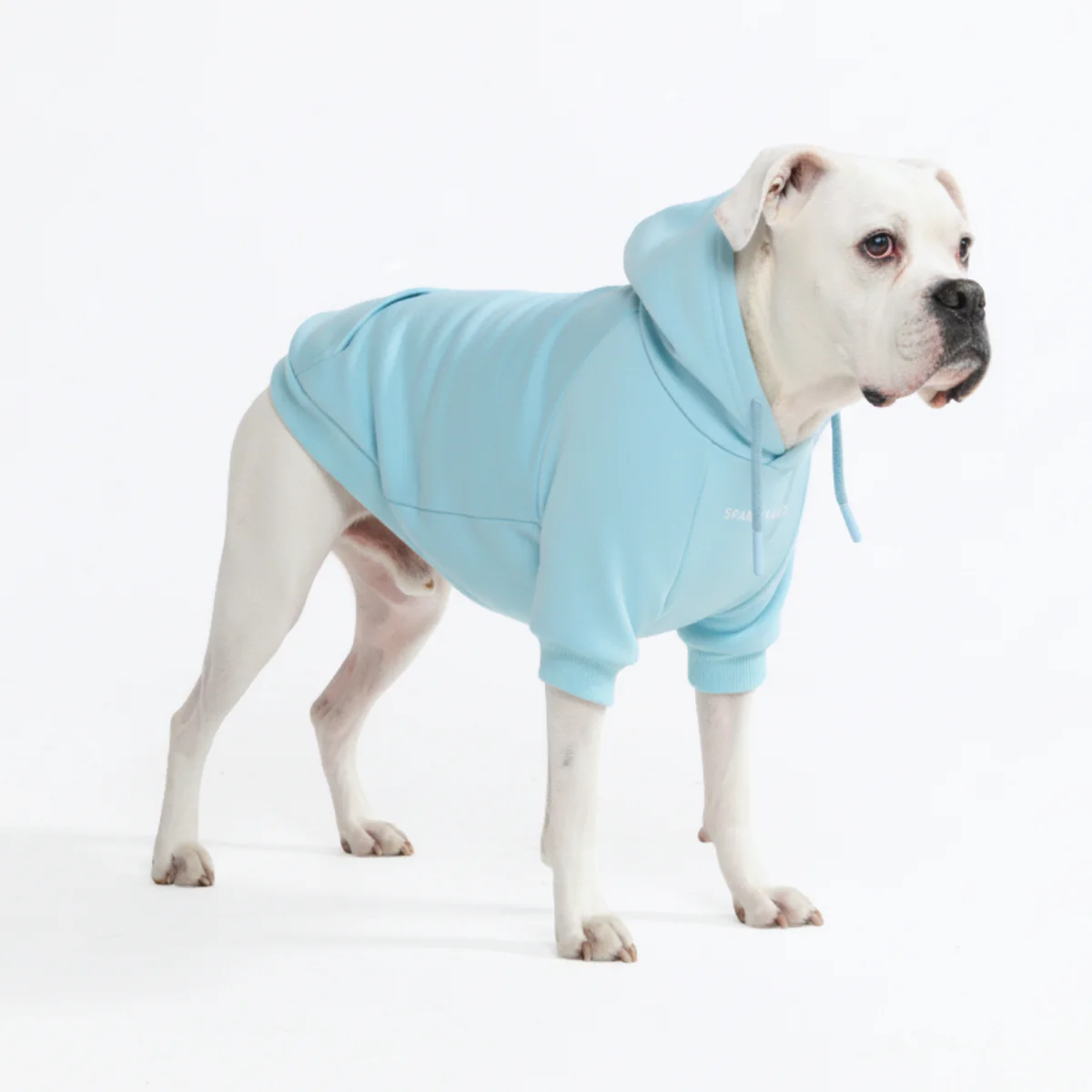 Essential Dog Hoodie - Baby Blue - Image 5