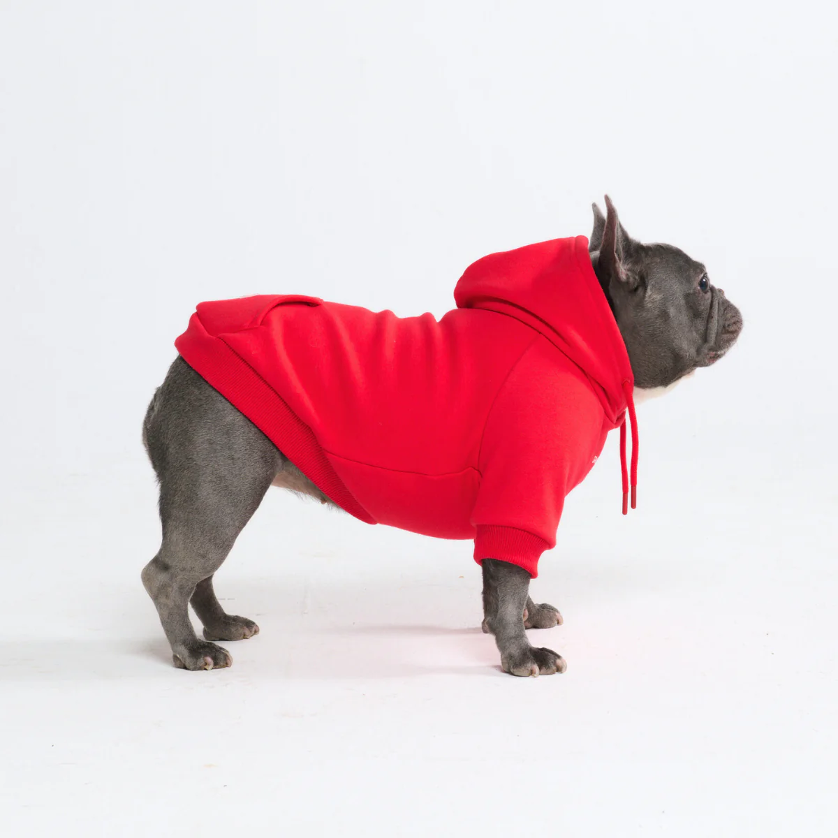 Essential Dog Hoodie - Crimson Red - Image 3
