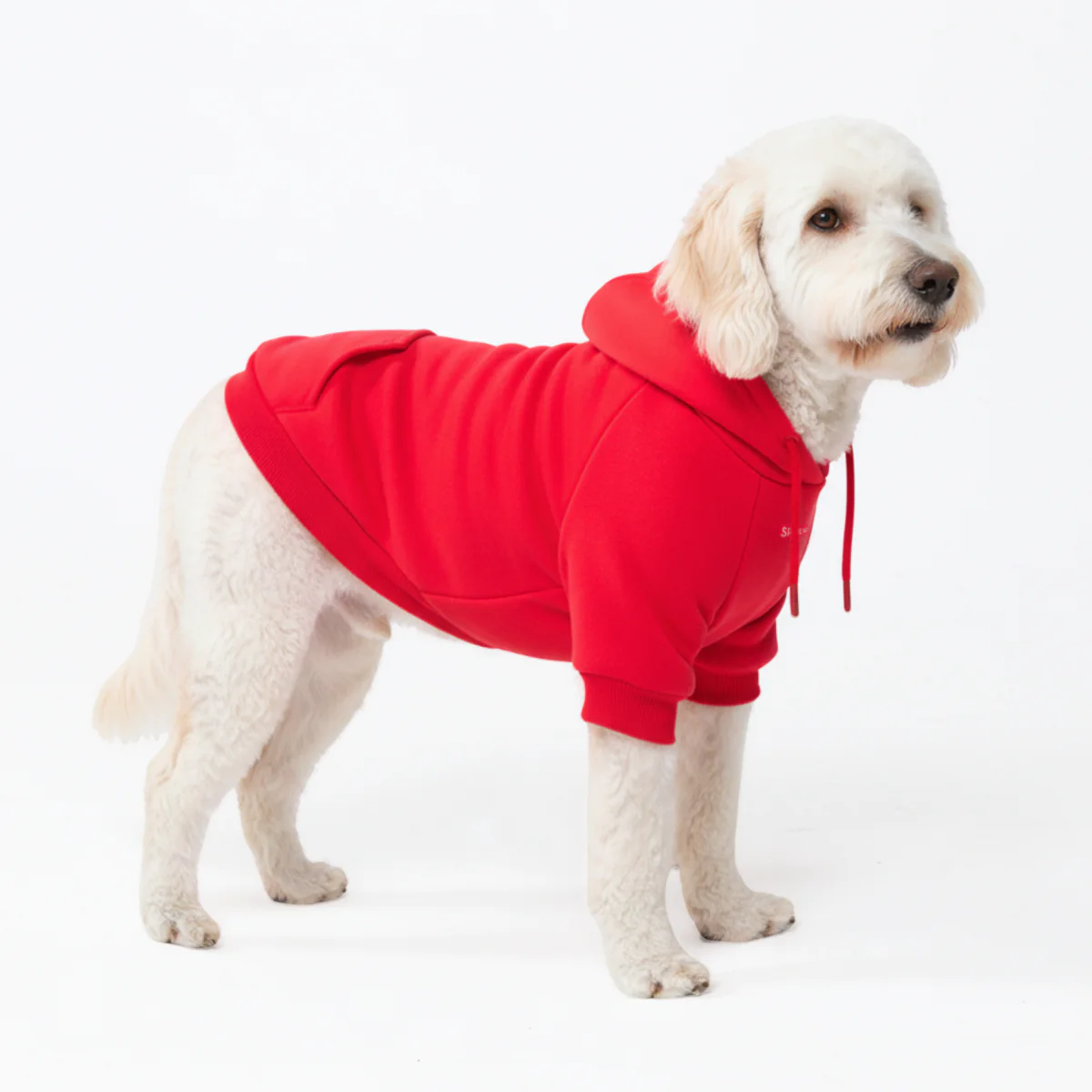 Essential Dog Hoodie - Crimson Red - Image 4