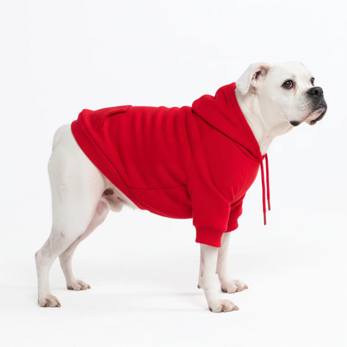 Essential Dog Hoodie - Crimson Red - Image 5