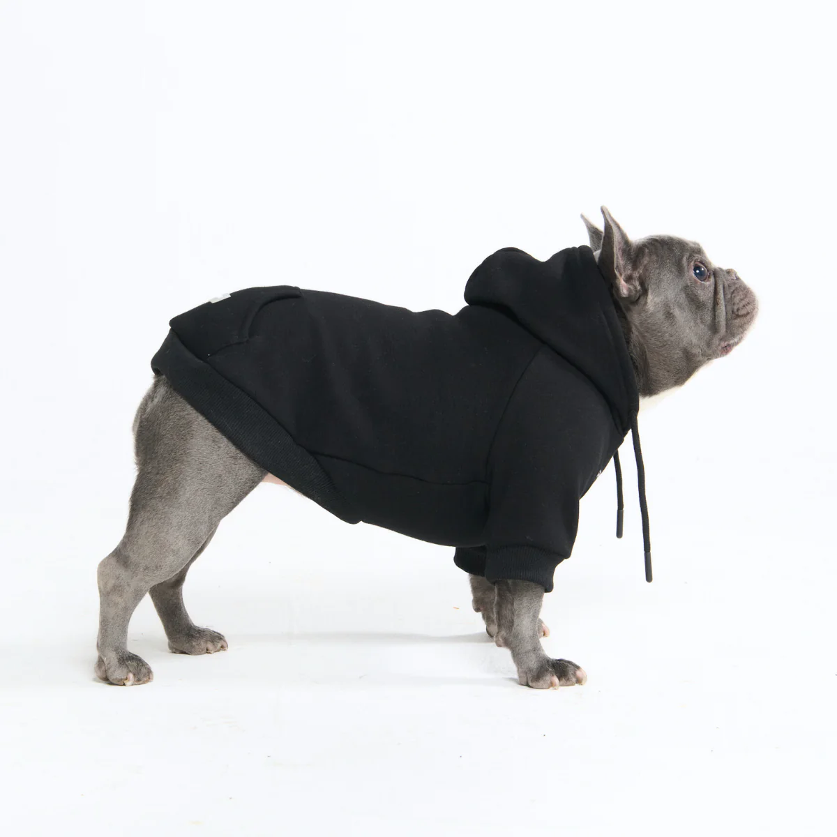 Essential Dog Hoodies - Image 83