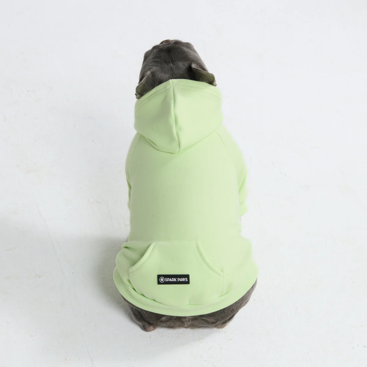 Essential Dog Hoodie - Honey Dew - Image 9