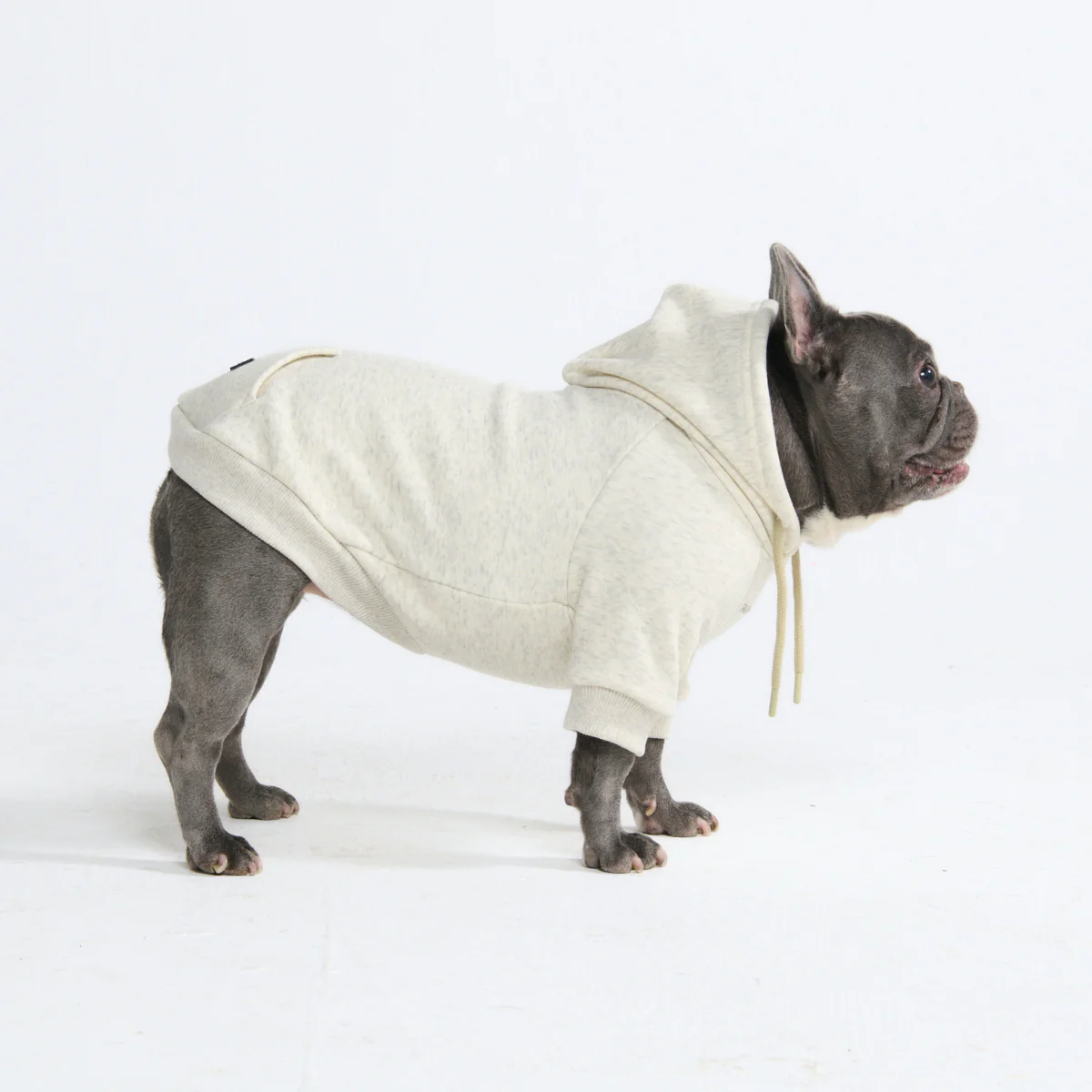 Essential Dog Hoodie - Oatmeal Heather - Image 3