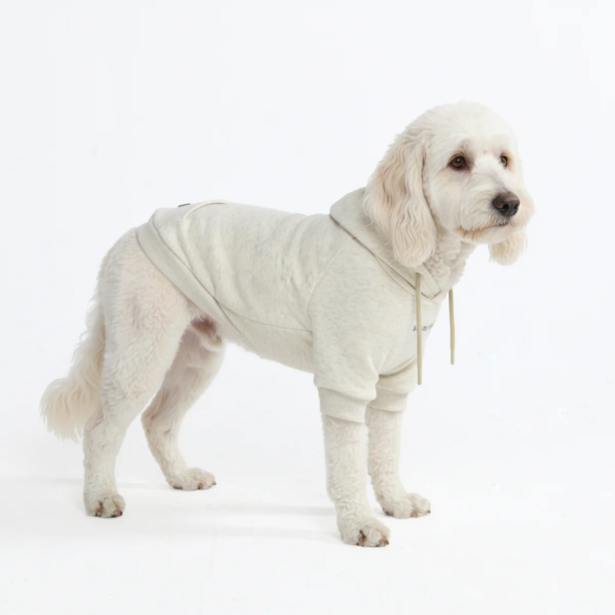 Essential Dog Hoodie - Oatmeal Heather - Image 4