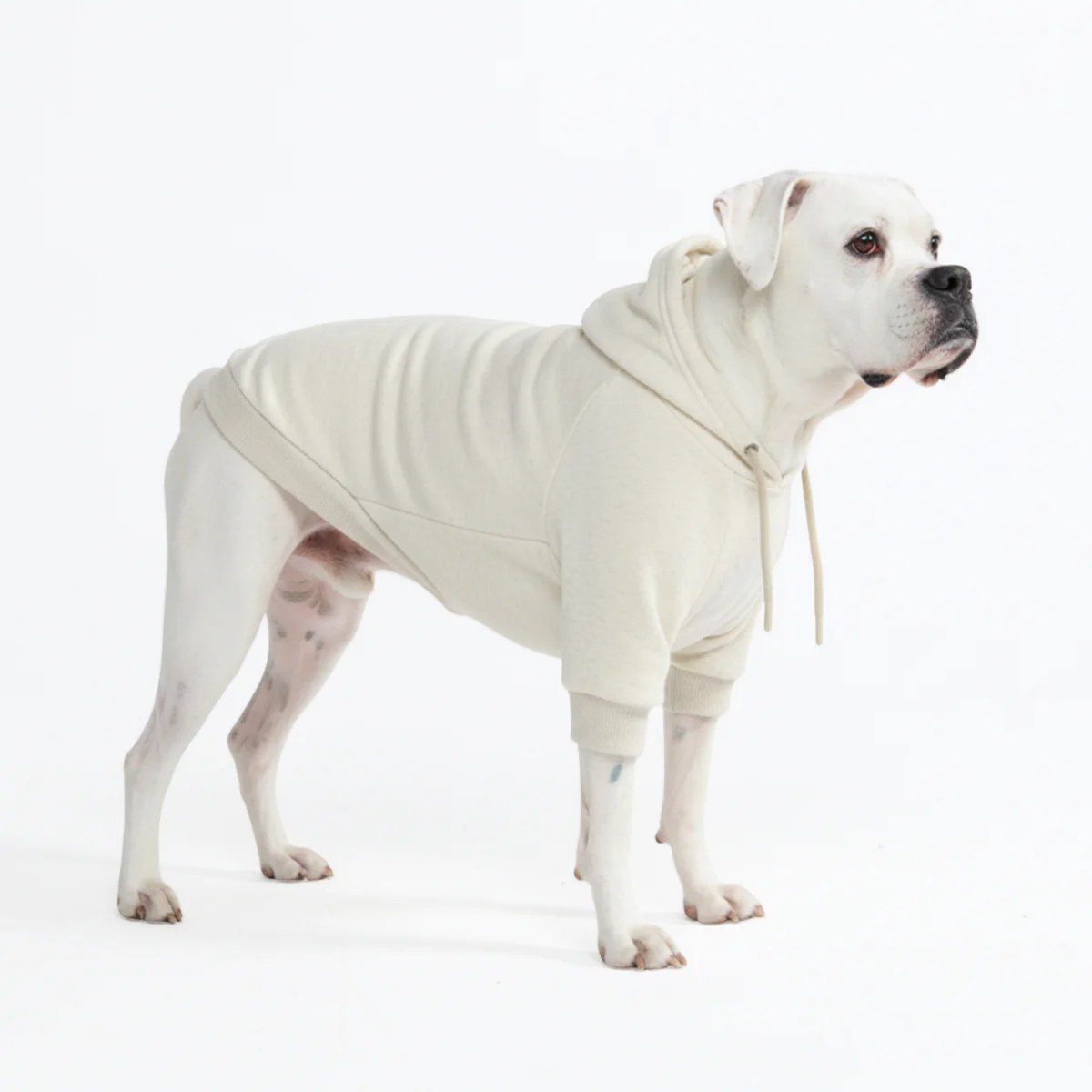 Essential Dog Hoodie - Oatmeal Heather - Image 5