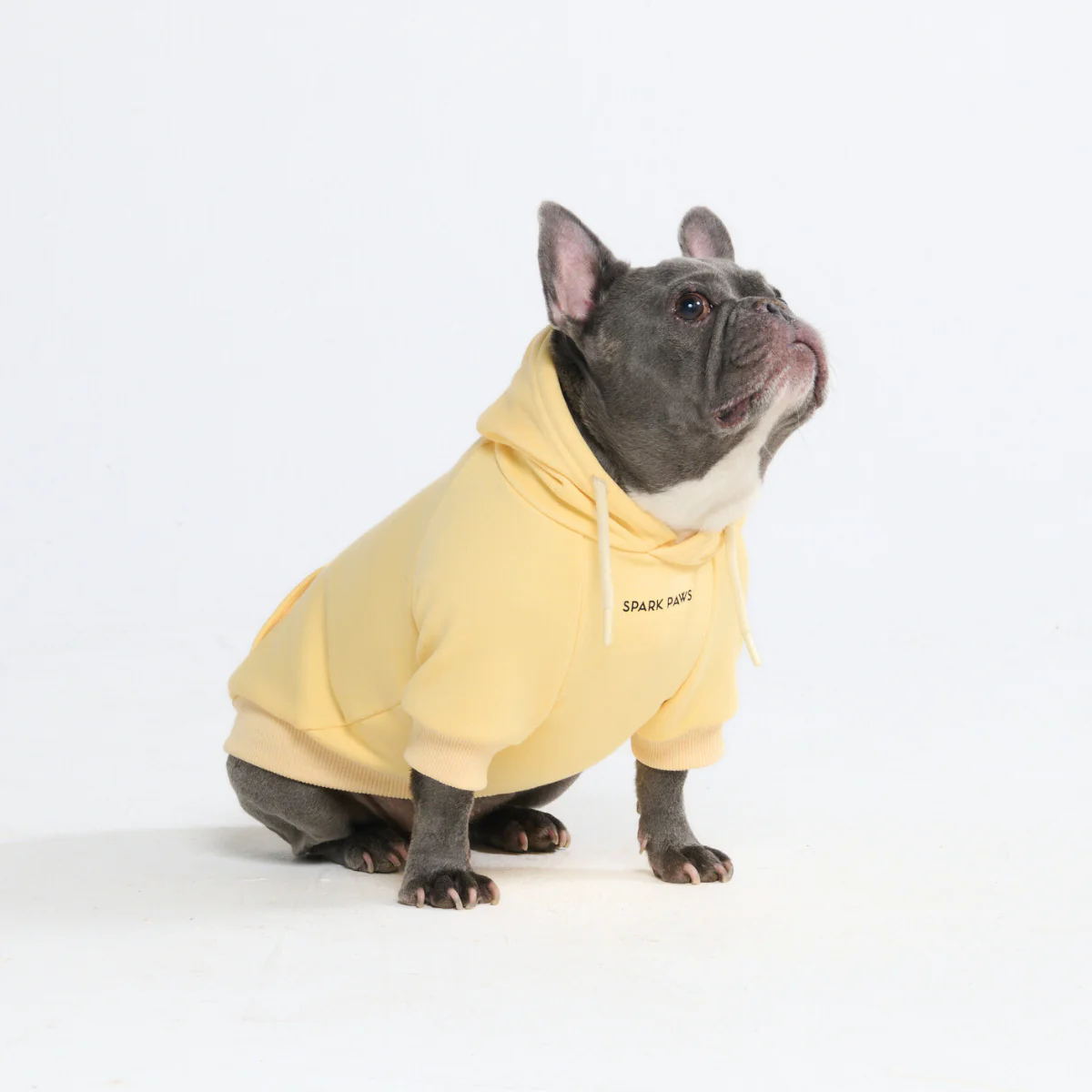 Essential Dog Hoodie - Buttercream - Image 9