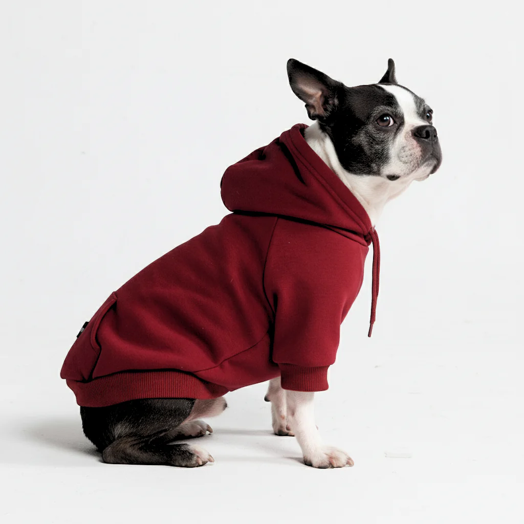 Essential Dog Hoodie - Burgundy - Image 4
