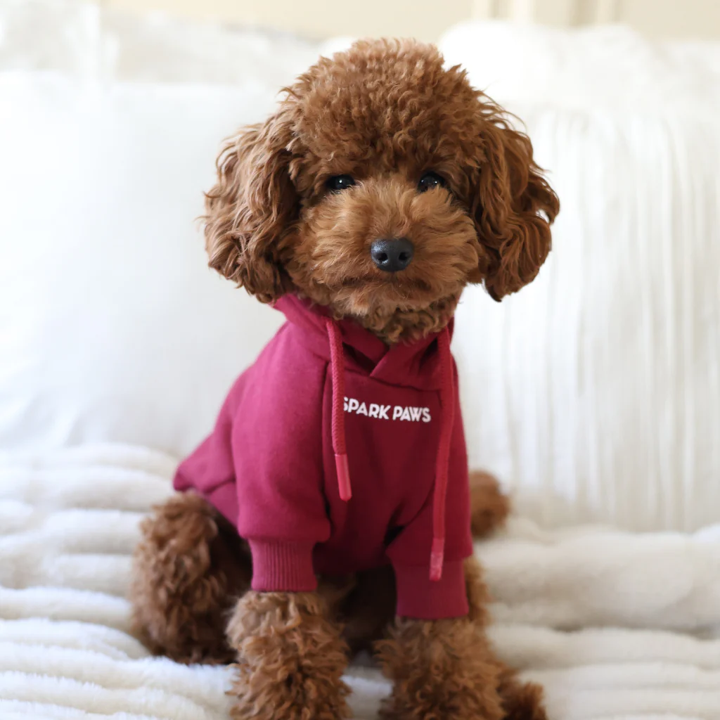 Essential Dog Hoodies - Image 24